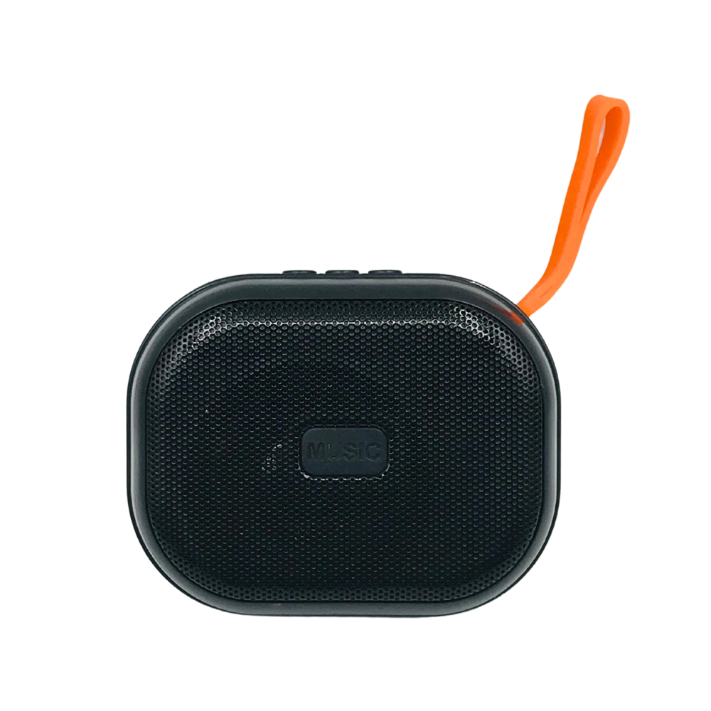 PORTABLE WIRELESS SPEAKER (X-315) [SPEAKER X315]